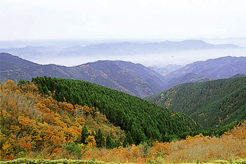 葛城山の紅葉