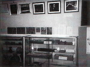 展示