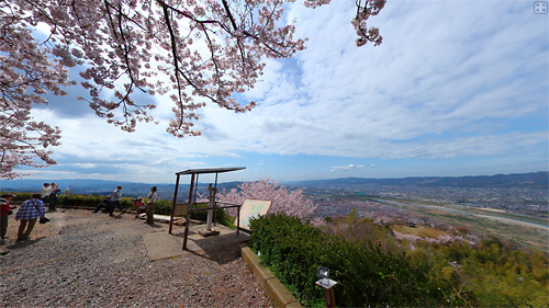 百合山の桜パノラマ